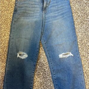 Express Relaxed Straight Ankle Jeans